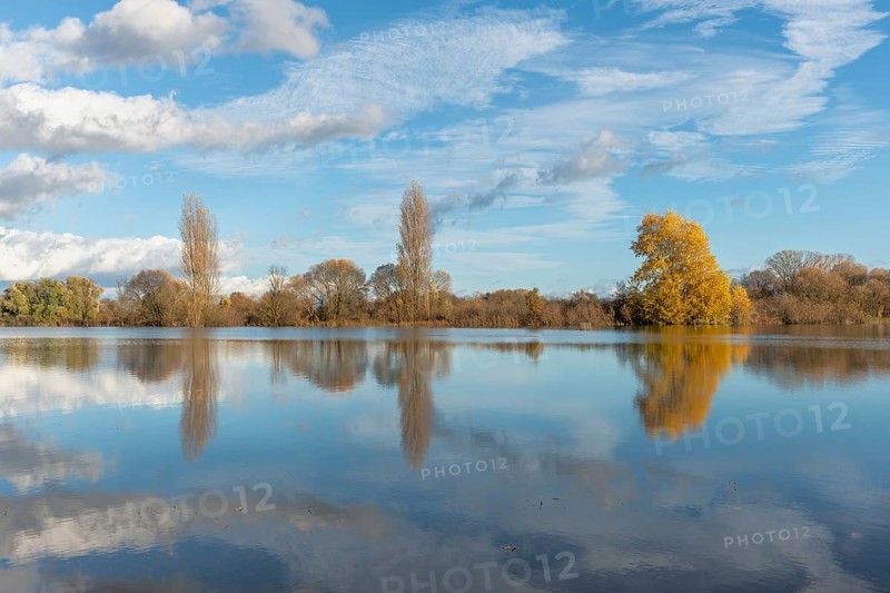The river flows flat and reflects clouds and mountains under a clear sky. Autumn trees draw the shoreline. It is a quiet moment on the water's edge. Bas Rhin, Alsace, France