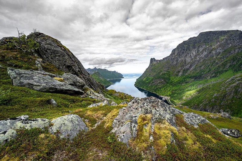 View of Øyfjorden fjord and mountains, fjord landscape with mountain peaks, hike to Barden mountain, Senja, Norway