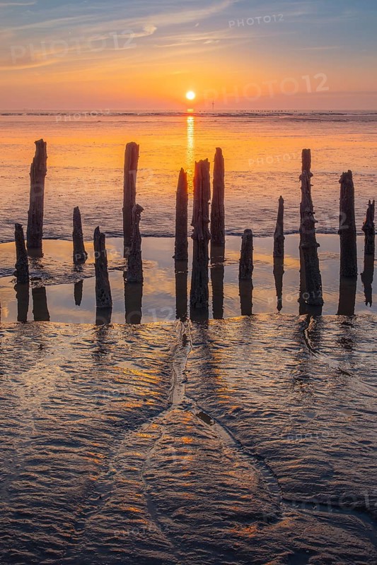View of old rotten stakes in the Wadden Sea at low tide at sunset, National Park, Unesco, World Natural Heritage, World Heritage, Lower Saxony, Wadden Sea, Cuxhaven, Lower Saxony, Germany
