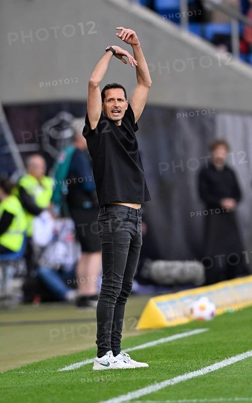 Coach Dino Toppmöller Eintracht Frankfurt SGE, gesture, change, substitution, substitution, PreZero Arena, Sinsheim, Baden-Württemberg, Germany
