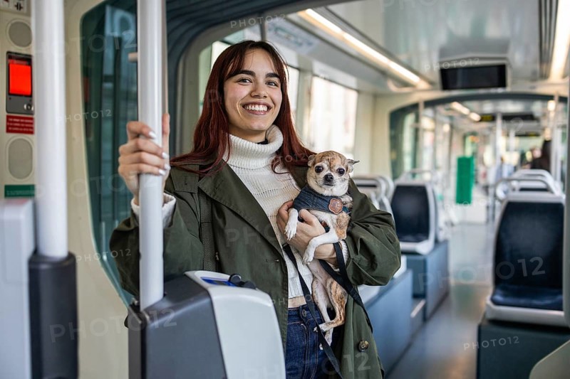 A woman smiles while holding her small chihuahua on a tram. The chihuahua looks calmly at the camera. The scene captures a joyful moment during a pets allowed journey
