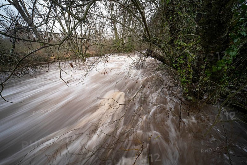 From above, this image captures the violent rush of the flooded river Henares as it surges through the lush landscape in Guadalajara, Spain, showcasing nature's power and unpredictability