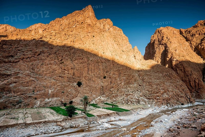 Todra Gorge, Tinghir, Drâa-Tafilalet Region, Atlas Mountains, Morocco