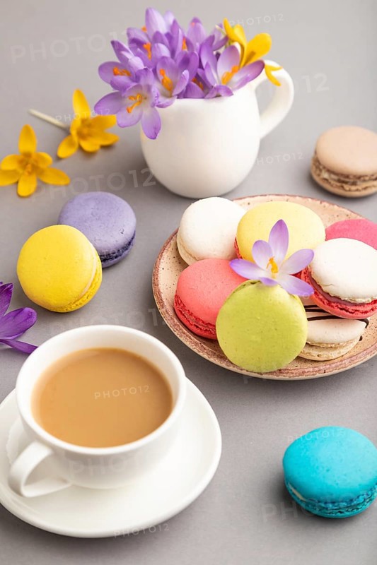 Multicolored macaroons with spring snowdrop crocus flowers and cup of coffee on gray pastel background. side view, close up, still life. Breakfast, morning, spring concept