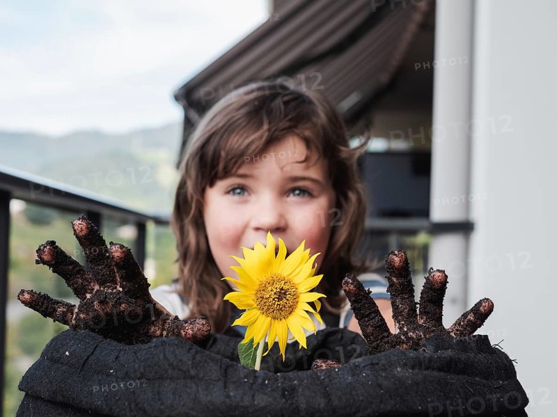 A smiling young girl shows off a bright sunflower and her dirty hands after gardening, capturing a moment of innocent joy and connection with nature