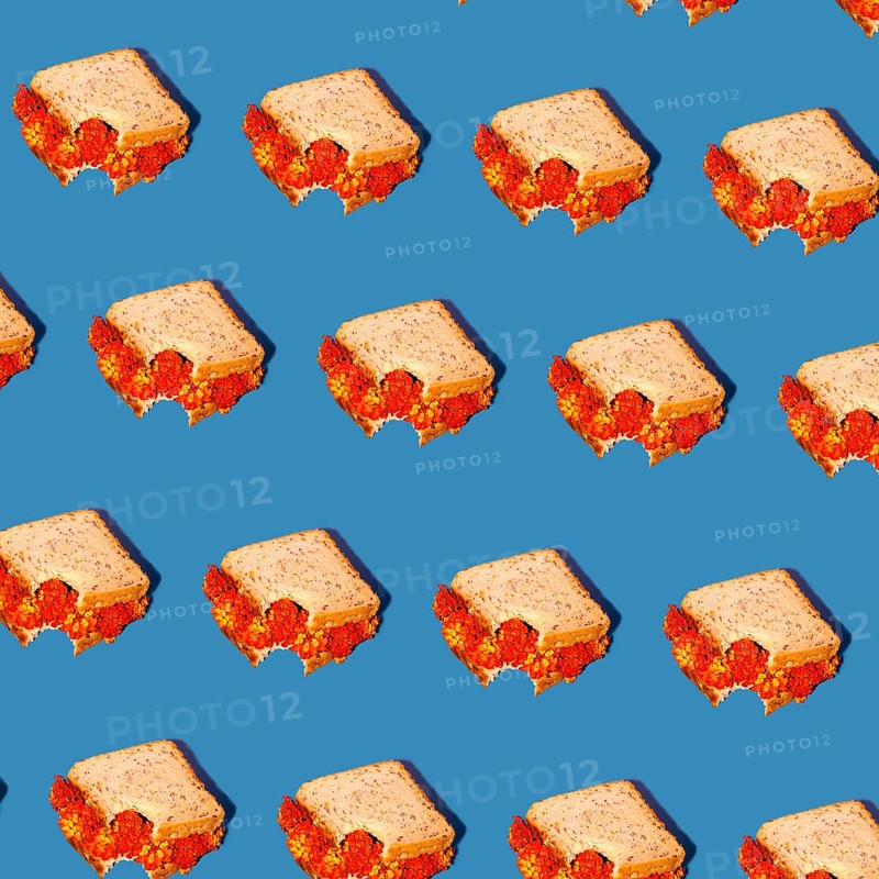 A creative pattern of sandwiches with vibrant red floral fillings set against a bright blue background. Perfect for food-themed designs and creative projects