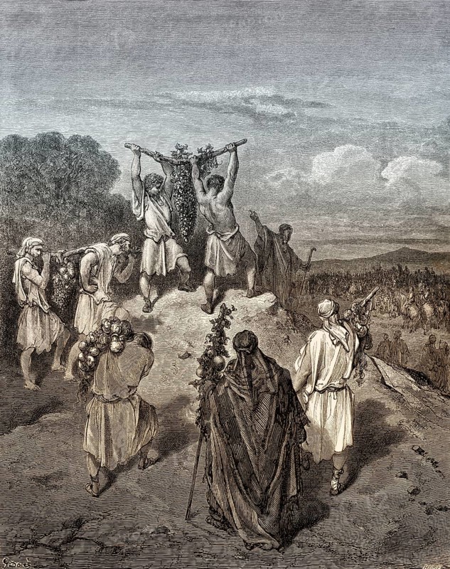Return of the Spies from the Land of Promise, Old Testament, by Gustave Doré, 1863