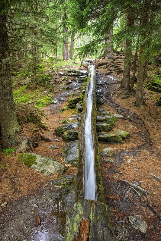 Wooden channel of the Kandelwaal, Martell, South Tyrol, Italy