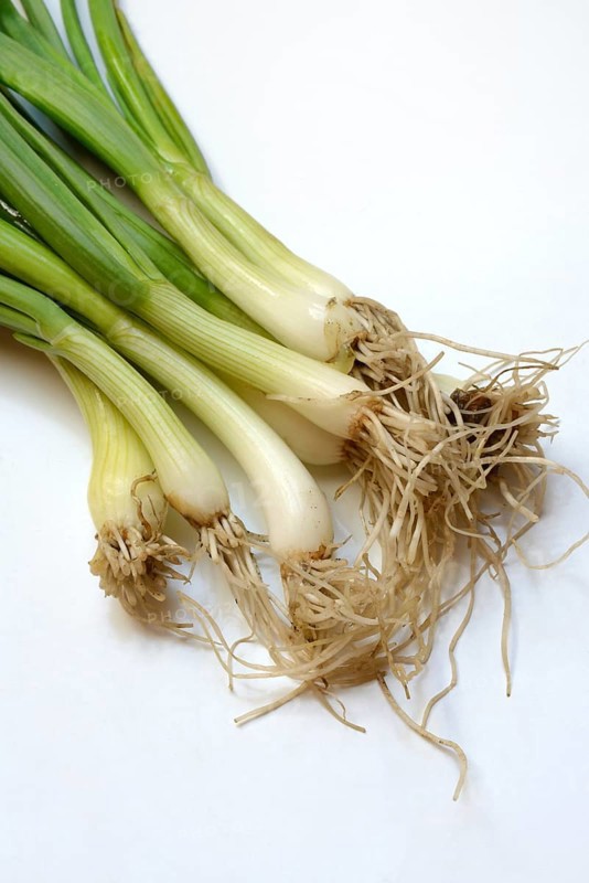 Spring onion with roots, Onion