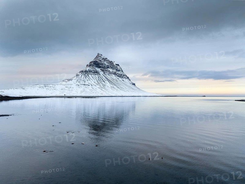 A peaceful winter scene of Kirkjufell Mountain in Iceland, covered in snow. The mountain reflects in the calm water, under an overcast sky at twilight