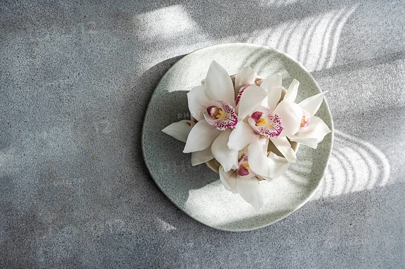 A cluster of delicate white orchids with pink centers rests gracefully on a round plate, casting soft shadows on a textured gray surface, creating an elegant and calming scene