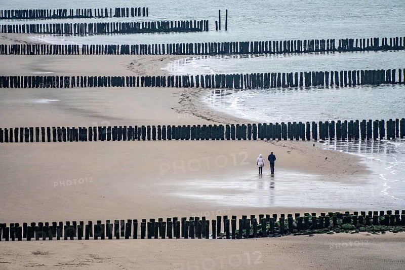 Coastal protection, through wooden posts, paalhoofden, on the beach, breakwater, the piles, some of which are rammed into the sandy soil in double rows, slow down the waves and ocean currents and thus slow down the flow rate of seawater, so less sand is washed away from the stand, near Westkapelle, Walcheren peninsula in the Dutch province of Zeeland