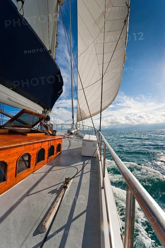 Sailing, sailing ship in the evening sun, backlight, sky, beautiful weather, atmosphere, journey, holiday, sea, dream holiday, dream trip