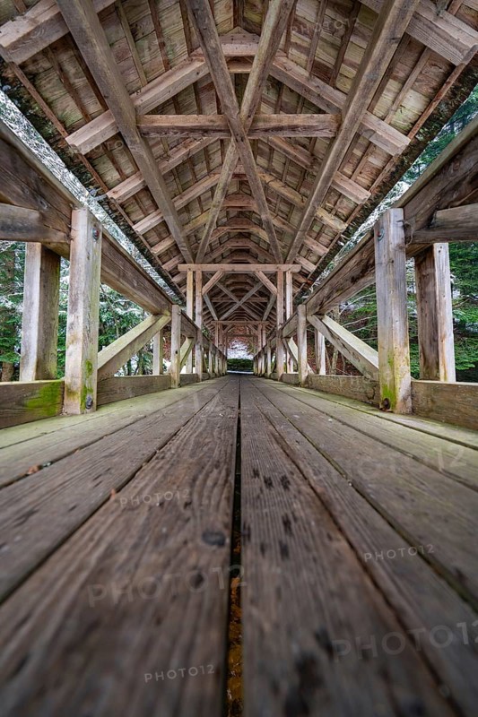 Detailed interior view of a bridge with symmetrical wooden elements, Kälberbrücke, Enzklösterle, district of Calw, Black Forest, Germany