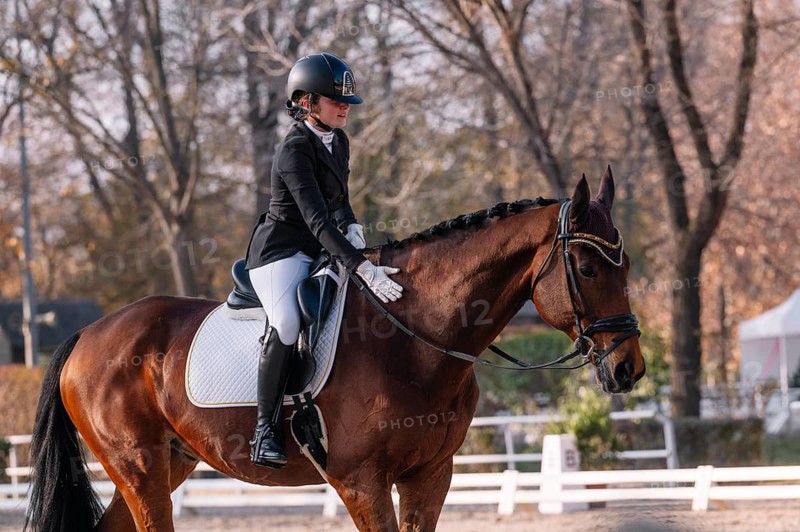 Teenage girl in classical dressage attire riding a brown horse, focusing intently ahead