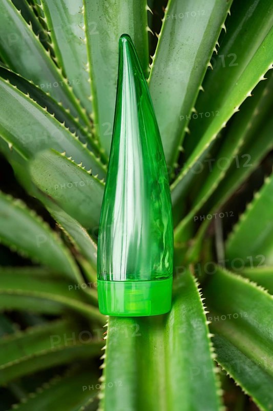 Nestled amongst vibrant aloe vera leaves, a green tube of aloe gel highlights its natural origins, ideal for skin, hair, and face care