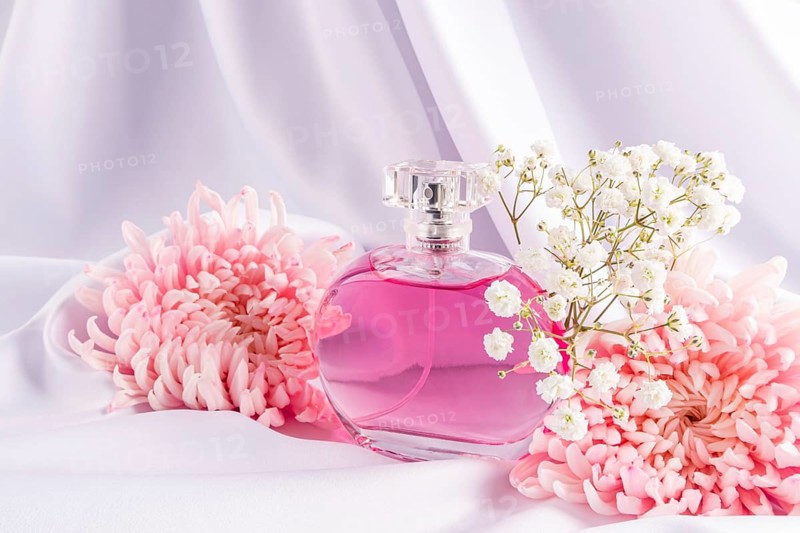 A stylish perfume bottle filled with pink liquid is elegantly nestled among pink flowers and white blossoms, set against a soft, white fabric backdrop
