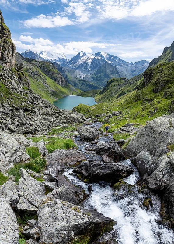 Mountain stream and mountain lake Lac de Louvie with glaciated summit of the Grand Combin, Val de Bagnes, Valais, Switzerland