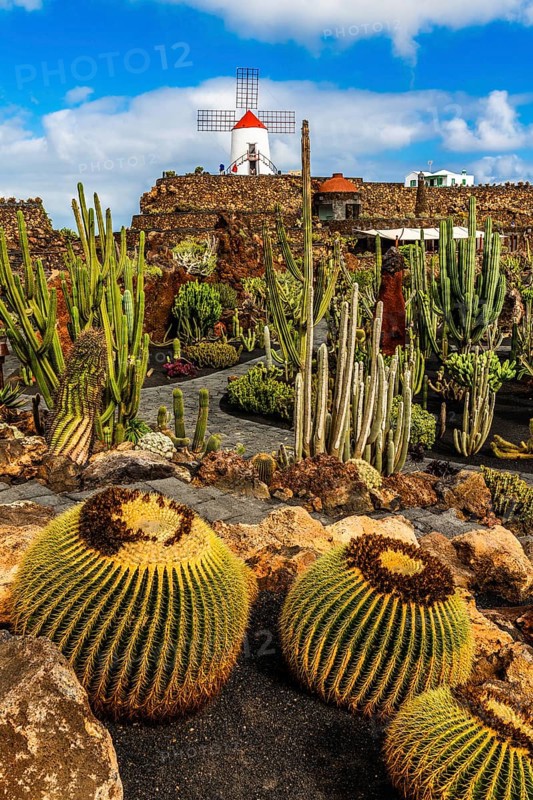 Gofio mill in the Jardin de Cactus with more than 10,000 cacti by Cesar Manrique, Guatiza, Lanzarote, Canary Islands, Spain