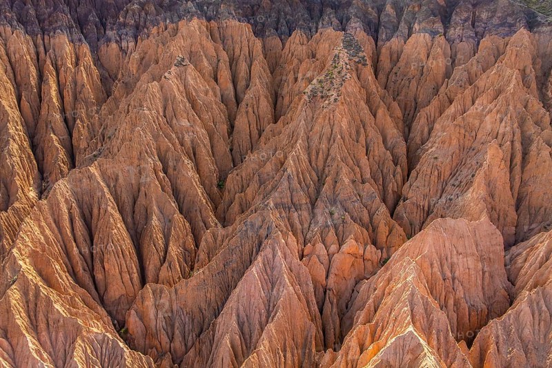 Aerial view showcasing a striking example of gully erosion, with deep, rugged valleys and ridges shaped by natural forces. The landscape highlights the power of erosion