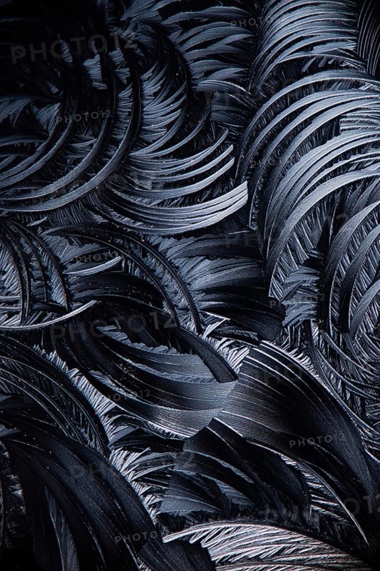 Microscopic view of Salicylic acid crystals, resembling feathery patterns in a black and white contrast