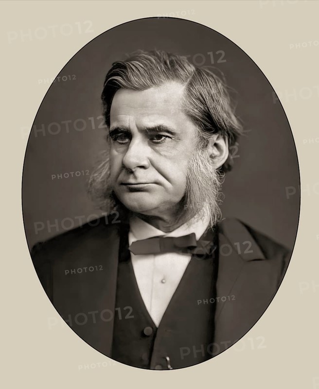 Thomas Henry Huxley, 1825 – 1895, English biologist and anthropologist, specialized in comparative anatomy, digitally edited according to a photography by Lock & Whitfield