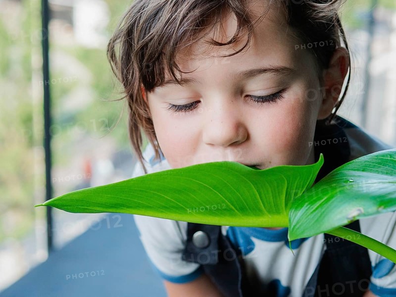 A young girl with tousled hair gently smells a large, shiny green leaf, capturing a moment of curiosity and interaction with nature