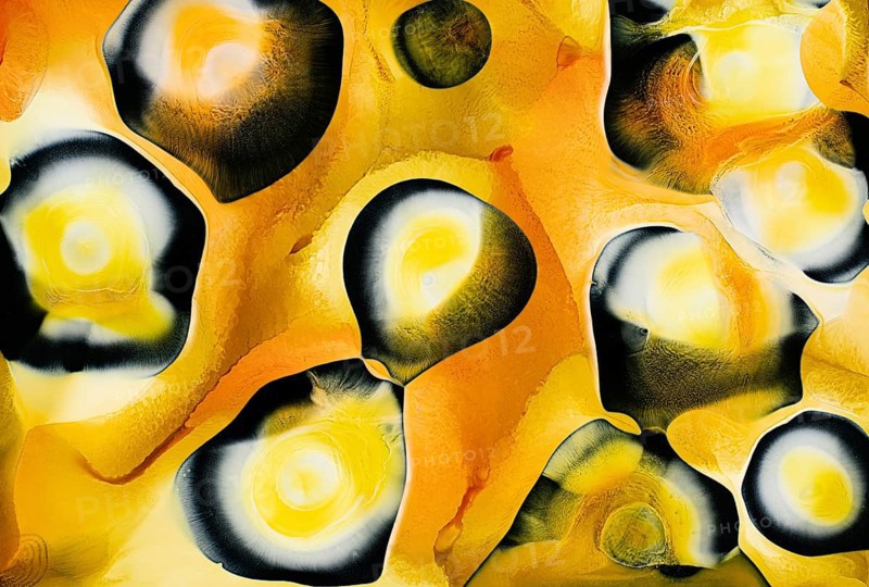 Dynamic abstract design featuring yellow and black liquids shapes with smooth textures. Bright and vivid, this artwork conveys energy and creativity