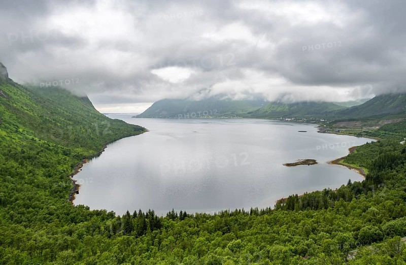 Cloudy fjord landscape with forest, Senja Island, Norway