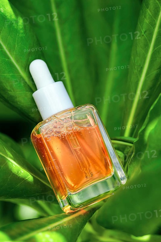 Dropper bottle of Vitamin C serum poised amidst vibrant green foliage, highlighting natural skincare
