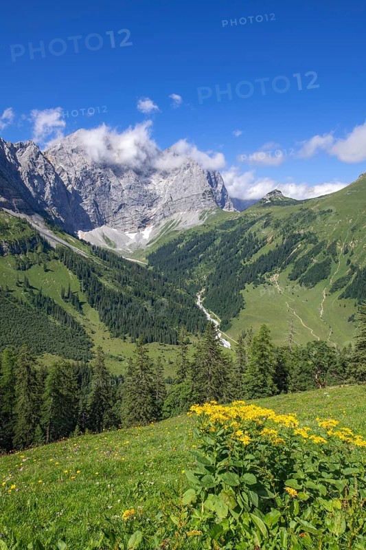 Grubenkarspitze, seen from Drijaggenalm, Tyrol, Austria