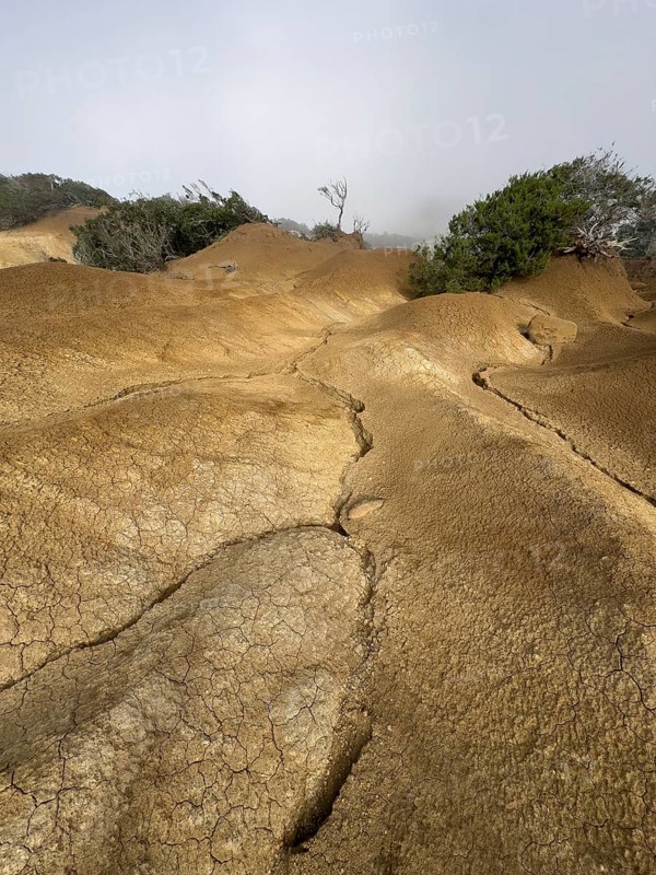 Yellow soil and rocks, erosion, near Arguamul, La Gomera, Canary Islands, Spain