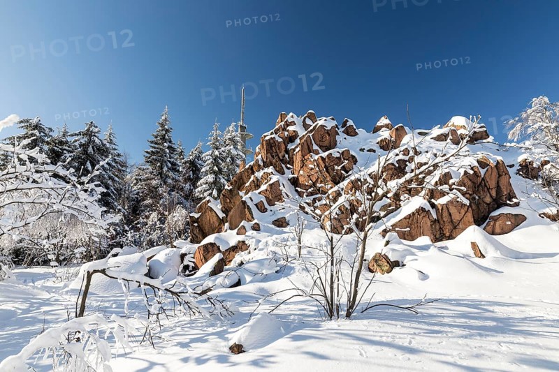 Kleiner Lugstein, sunny winter landscape with snow-covered trees, bushes, trails and branches covered with hoarfrost on the Ore Mountains Ridge, Zinnwald-Georgenfeld, Altenberg, Eastern Ore Mountains, Saxony, Germany