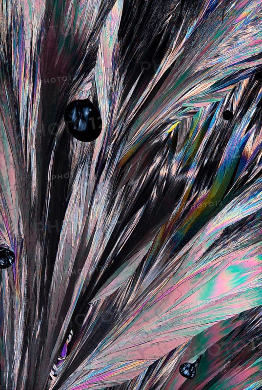 Intricate structure of Hippuric acid crystals magnified under a microscope, presenting a breathtaking array of colors including blues, pinks, greens, and blacks
