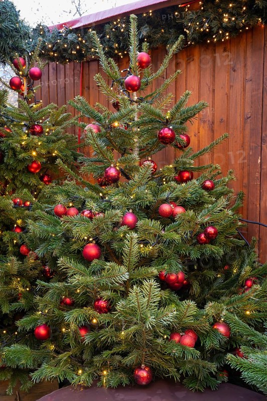 Christmas tree with red baubles on a hut at the Christmas market, Breitscheidplatz, Charlottenburg, Berlin, Germany