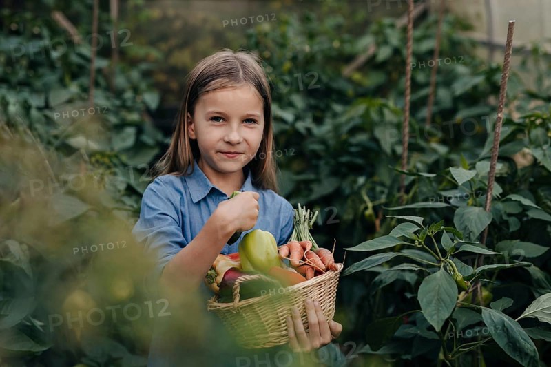 A young girl in a blue shirt joyfully holds a basket filled with freshly harvested vegetables, surrounded by green foliage in a flourishing greenhouse setting