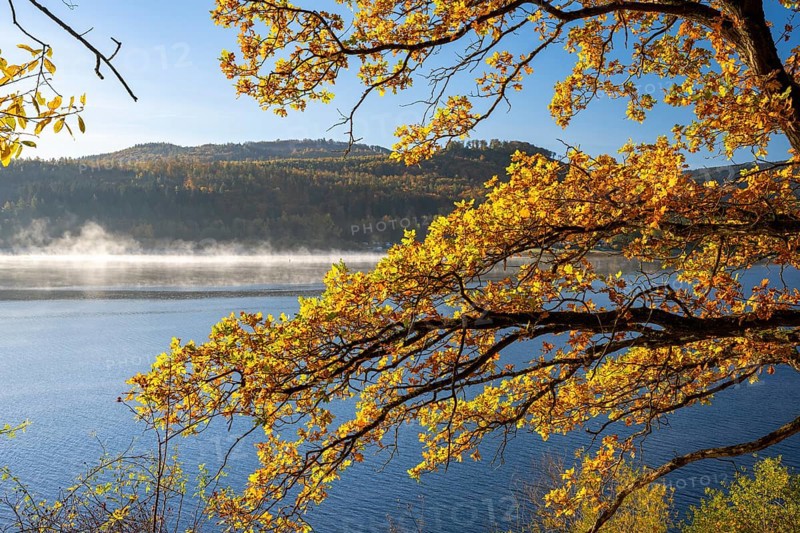 Autumn forest at Innerstestausee in the Harz Mountains, Innerstestausee, Goslar, Lower Saxony, Germany