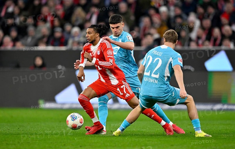 Duel, action Michael Olise FC Bayern Munich FCB (17) against Alexander Prass TSG 1899 Hoffenheim (22) Ozan Kabak TSG 1899 Hoffenheim (05) Soccer Bundesliga, Allianz Arena, Munich, Bavaria, Germany