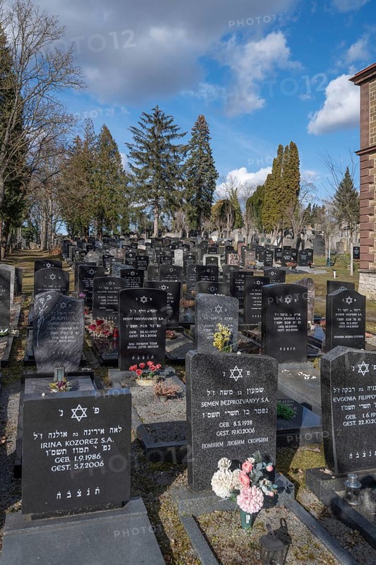New graves at the Israeli cemetery, inaugurated in 1882, Werner-von Siemens Str. 2, Würzburg, Lower Franconia, Bavaria, Germany