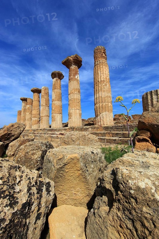 In the Parco Valle dei Templi di Agrigento, Unesco World Heritage Site, remains of the ancient city of Akragas in the Valley of the Temples of Agrigento, Tempio di Ercole, the columns of the Temple of Heracles, Sicily, Italy
