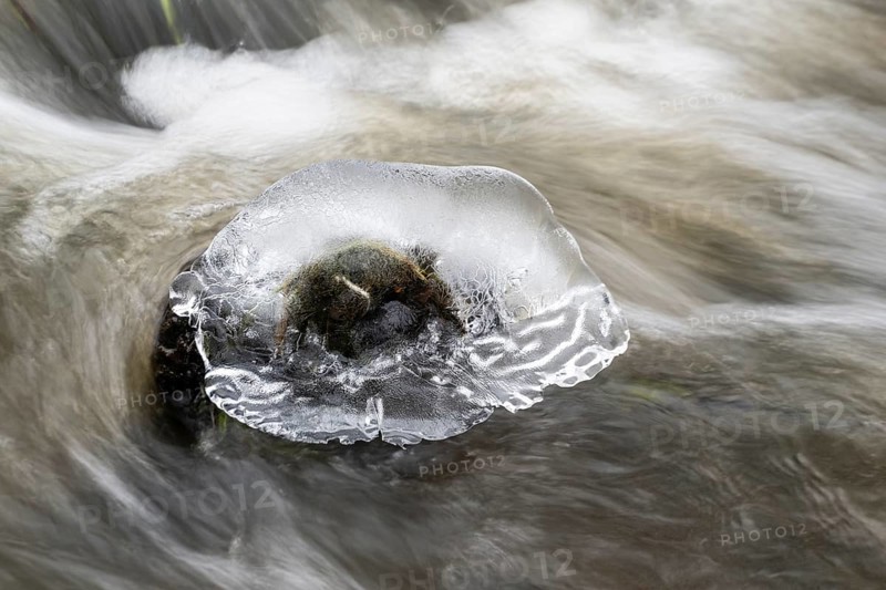 Natural ice sculptures on a stream, Emsland, Lower Saxony, Germany