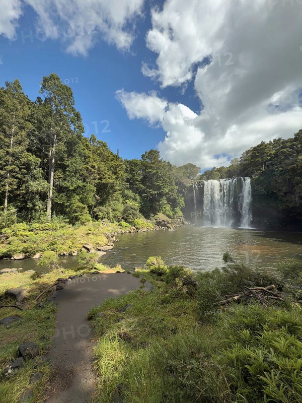 Rainbow Falls waterfall (Waianiwaniwa) amidst lush trees under blue sky with cloudy water, Wipekakoura River, Kerikeri, North Island, New Zealand, Oceania