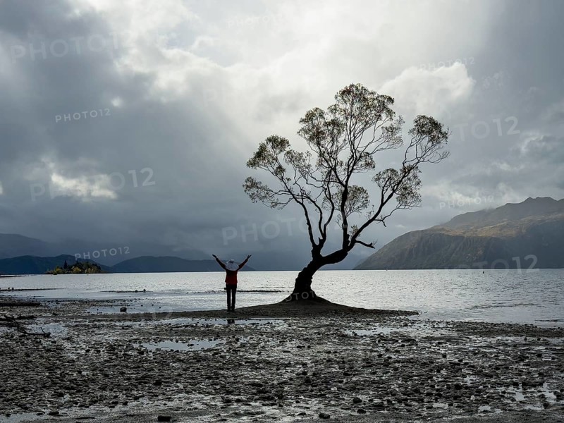Back view of unrecognizable person at Lake Wanaka, New Zealand. The iconic tree stands in tranquil water, mountains in the background, capturing nature's calmness