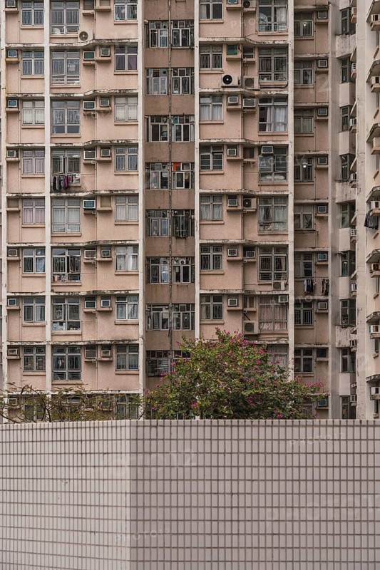 A close-up view of a densely packed residential building in Hong Kong, illustrating urban living with numerous windows, balconies, and air conditioners, with greenery in the foreground