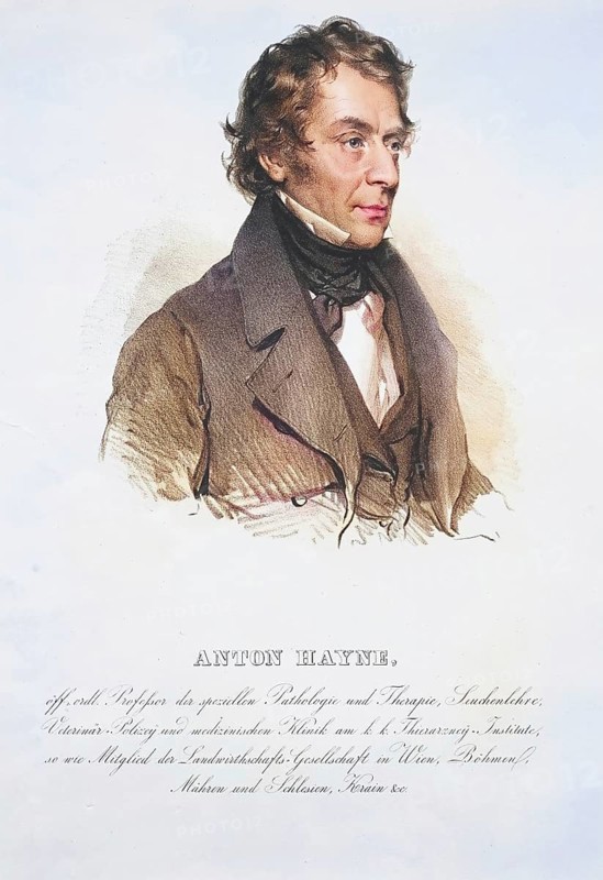 Anton Hayne (born 17 January 1786 in Krainburg, died 24 August 1853 in Vienna) was an Austrian veterinary surgeon, Historical, digitally restored reproduction from a 19th century original, Record date not stated