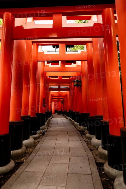 Pathway through the iconic red torii gates at Fushimi Inari-taisha, a famous Shinto shrine in Kyoto, Japan. A peaceful and spiritual symbol of Japanese tradition