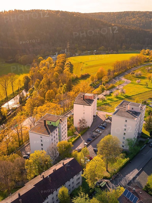 Residential buildings in an urban landscape next to forests and fields in the sunlight, Nagold, district of Calw, Germany