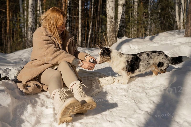 A woman in a beige coat shares a moment with her Border Collie dog among snowy trees in a forest setting. This winter scene captures a peaceful interaction between the human and animal