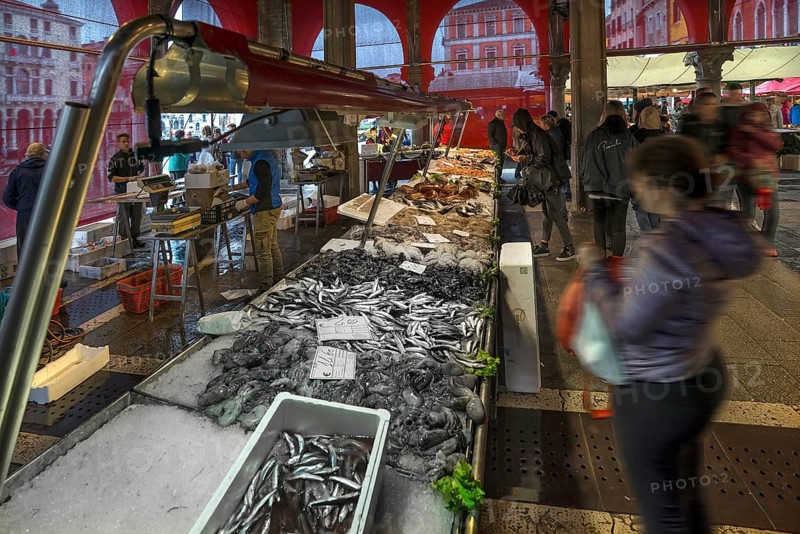 Fish market, rialto market in the San Polo district, Venice, Veneto, Italy