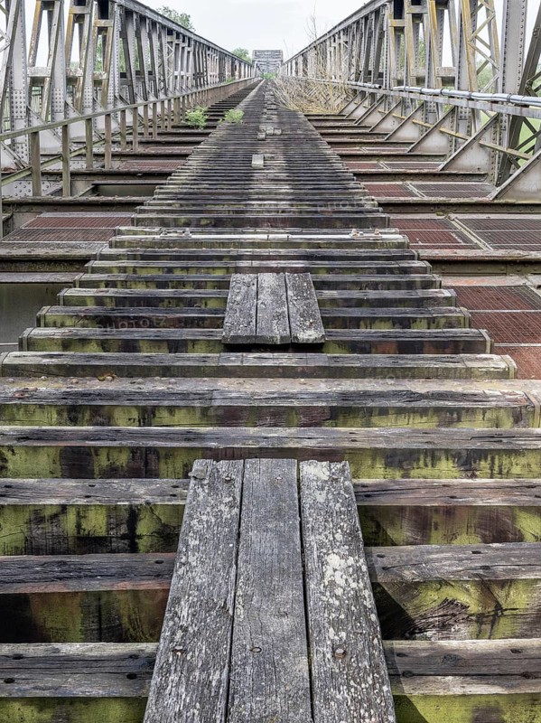 Abandoned railway bridge over the Elbe near Barby, lost place, steel truss bridge from the 1870s on the so-called cannon railway from Berlin to Metz, Barby, Saxony-Anhalt, Germany